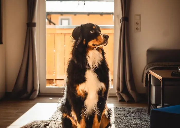 Haus Faninger Διαμέρισμα Kaprun